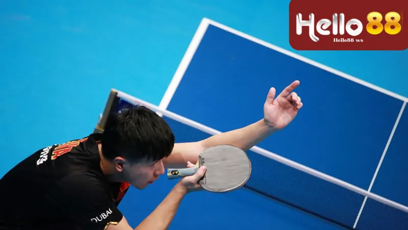 Nắm bắt kiến thức cơ bản về bóng bàn Helllo