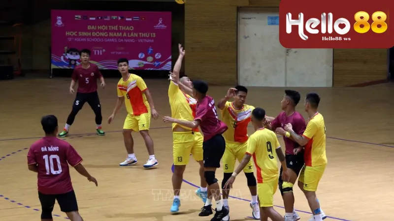 Tổng quan về cá cược bóng ném Hello88